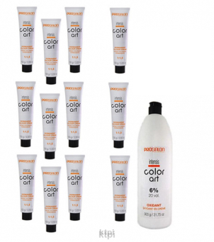 Chantal Prosalon Color Art Farba X12 sztuk + Woda