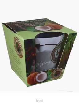 Bartek Wellness & Beauty Coconut Milk 115 g